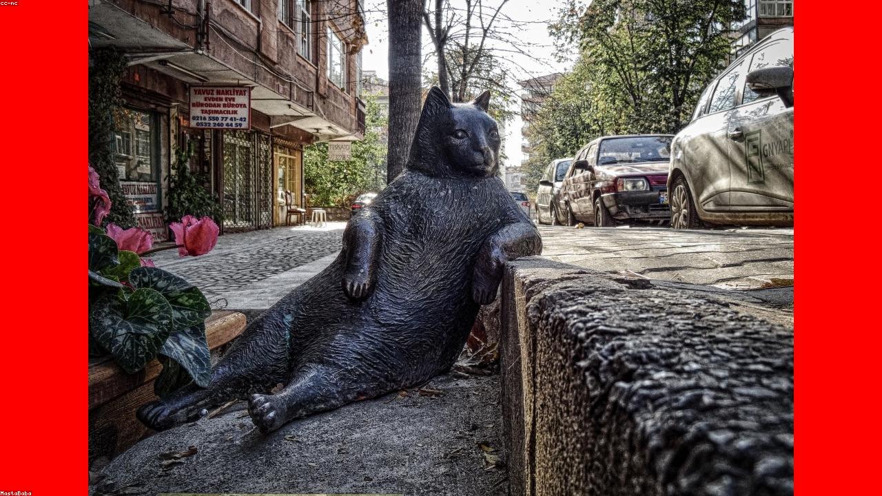 No Post Image for No New Sam Episodes on iTunes