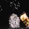 lamington - the sam livecast