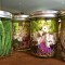 Pickled Cauliflower & Green Beans - the sam livecast